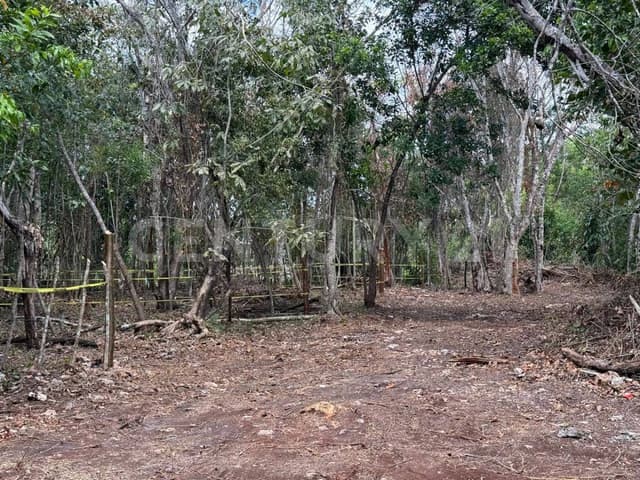 VENTA de Terrenos en BACALAR