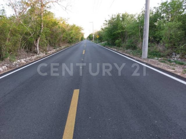 Terreno campestre en venta de 1000 m2 Komchén Zona residencial Mérida, Yucatán.