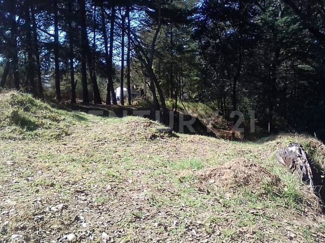 TERRENO EN VENTA ,SANTA MARÌA MAZATLA, JILOTZOINGO, EDO. DE MEX.