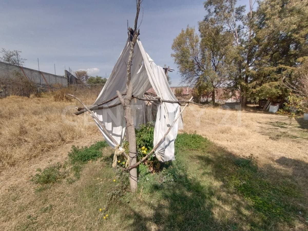 Fotos adicionales