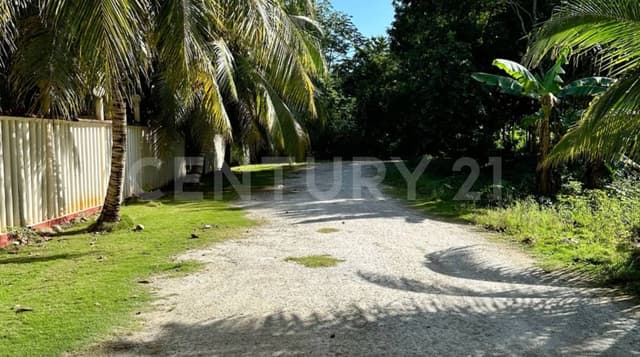 TERRENO EN BACALAR, BUENAVISTA A 2 CALLES DE LA LAGUNA