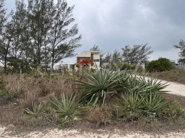 VENTA DE TERRENO EN PLAYA