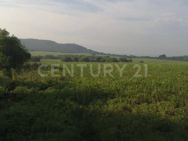 Terreno en Venta en Montemorelos, Localidad Macuña, cerca del Poblado El Llano.