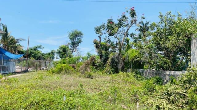 Terreno en Venta en Parque Ecológico De Viveristas, Acapulco