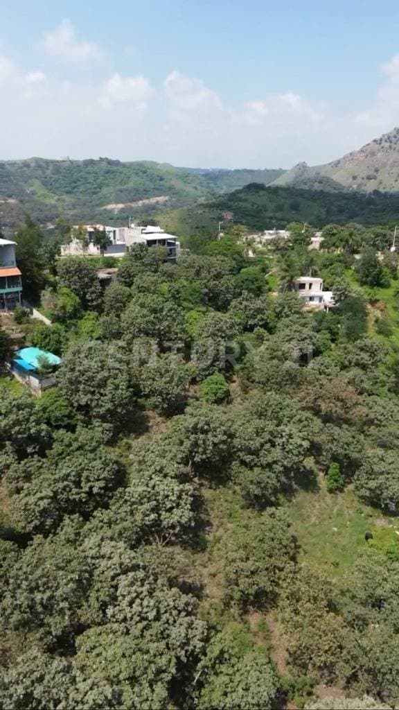 Terreno de 1 hectárea en San Esteban Zapopan