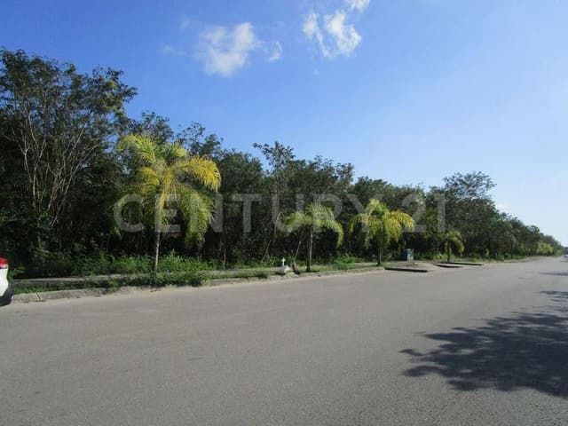 Lote Comercial en Fraccionamiento Arrecifes Playa del Carmen C2379