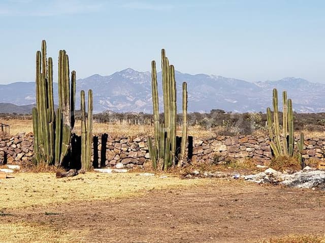 Venta de Terreno Residencial en Hacienda Real 1800 Huichapan HIdalgo