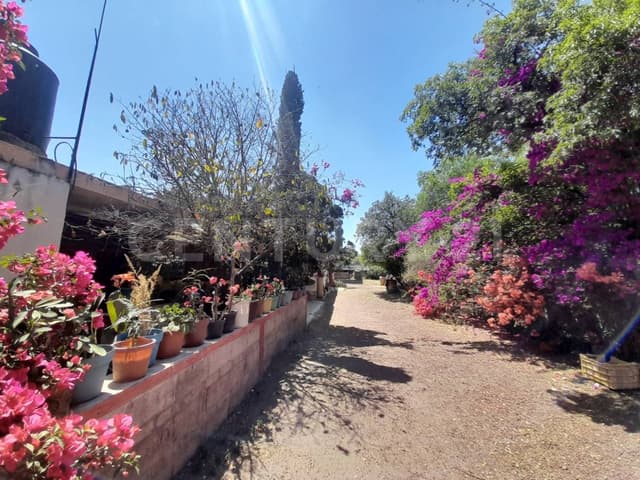 TERRENO EN VENTA EN SAN BARTOLO CUAUTLALPAN, ZUMPANGO, ESTADO DE MÉXICO