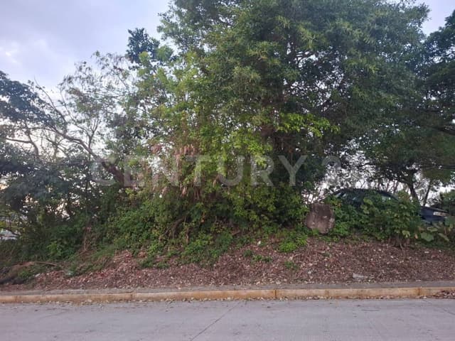 VENTA de terreno en Col. 20 de Noviembre, Coatzacoalcos