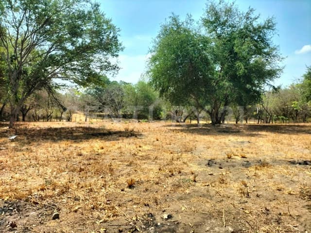 Se vende terreno en el Chivato, Villa de Alvarez, Colima.