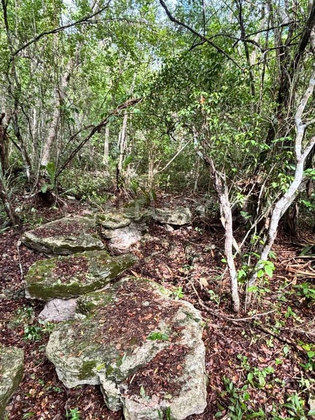 Terreno Freia THE ME PARK - 351m2 PARQUE DOS OJOS, QROO