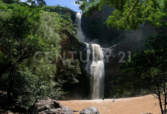 Terreno en Venta en Tapalpa, RANCHO PINTO