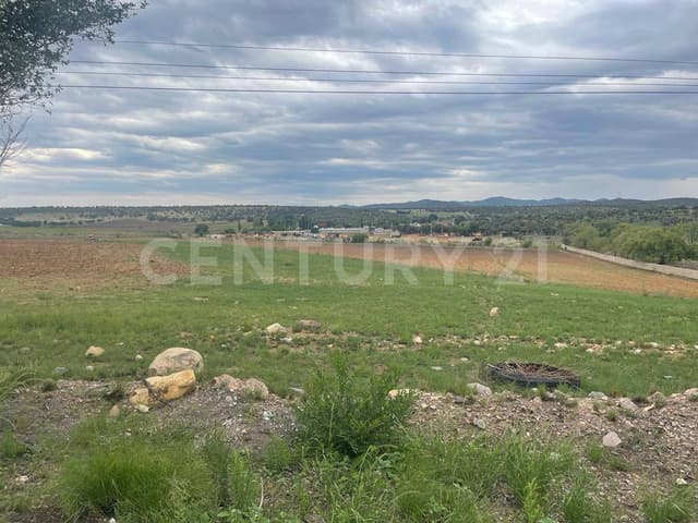 SE VENDE TERRENO CARR. CUAUHTEMOC-LAJUNTA C.P. 31604 EN CD. CUAUHTEMOC, CHIH.