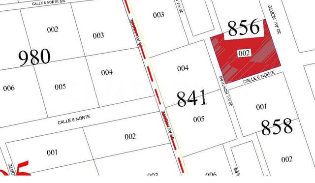 Hectarea en Región 10