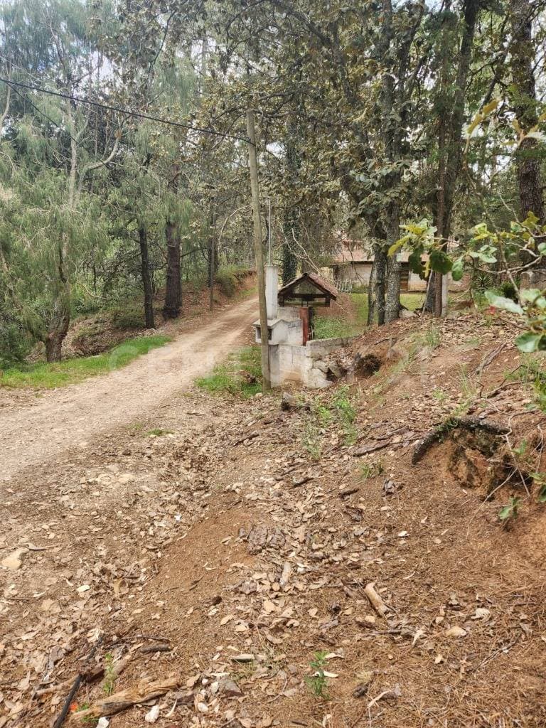 Fotos adicionales
