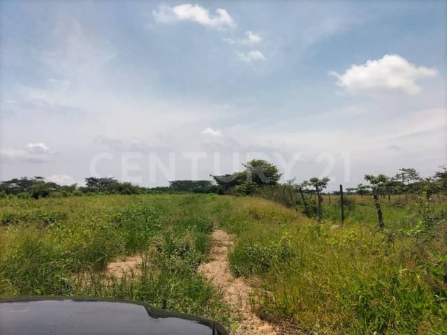 Se vende parcela de 25 Has. Carretera Alcaraces-Alzada s/n, Cuauhtémoc, Col.