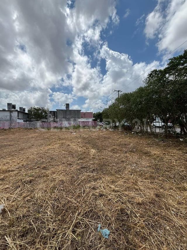 Terreno en Venta Sobre Avenida - Av. Niños Héroes con Av. La Guadalupana