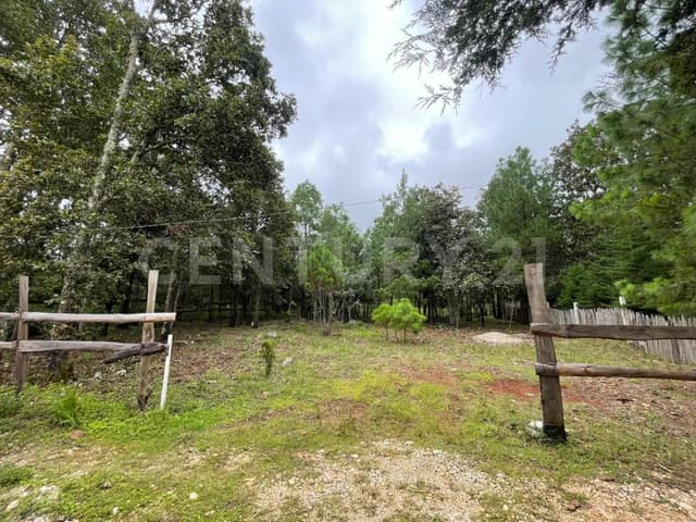 TERRENO EN VENTA, COMUNIDAD SAN JOSE BUENAVISTA, SAN CRISTOBAL DE LAS CASAS