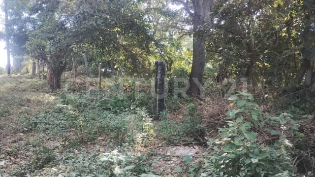 TERRENO EN LINDAVISTA, PUEBLO VIEJO, VERACRUZ