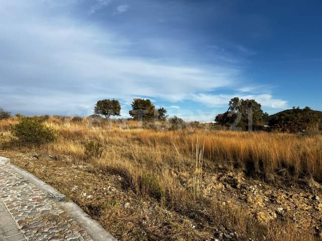 Venta de Terreno en Haras, Puebla----