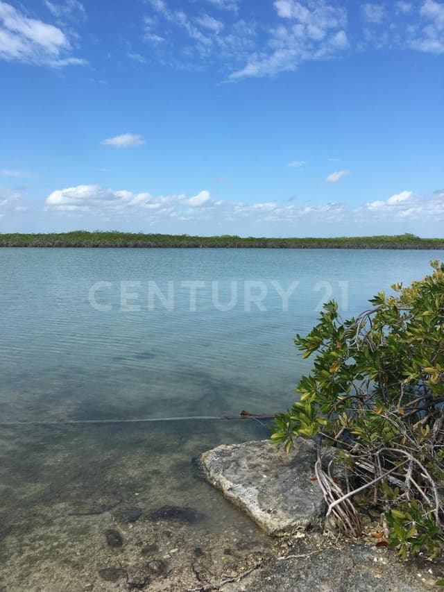 Se vende Terreno frente al mar Boca Paila Tulum P1277