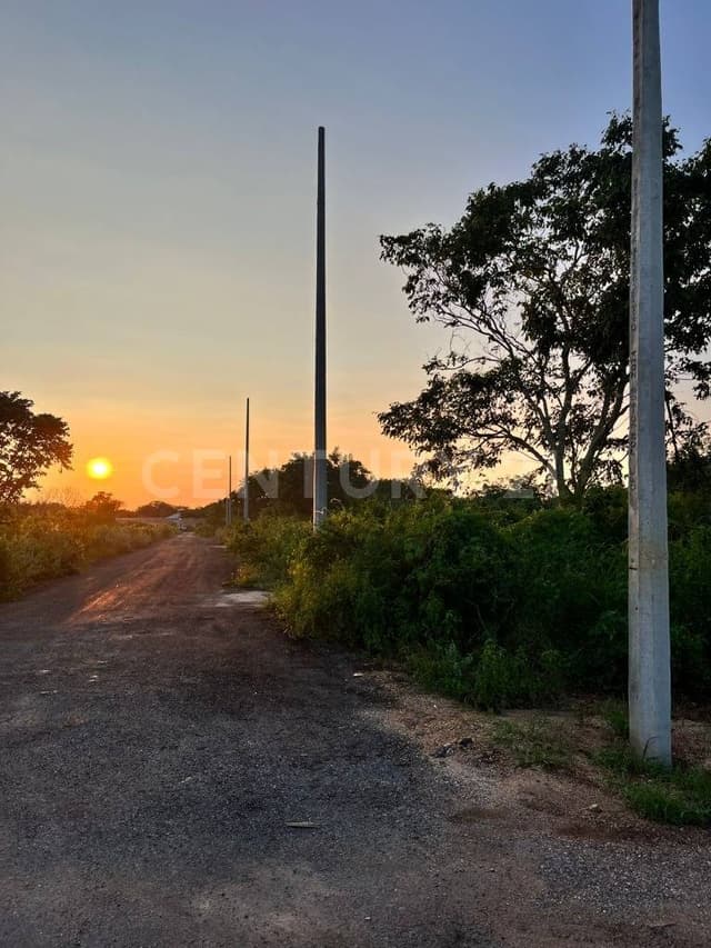 Terreno en Venta en Chichí Suárez, Mérida, Yucatán
