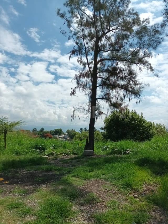 Terreno comercial en Lomas de Atzingo