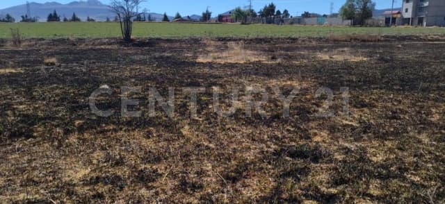 Terreno en Venta en San Isidro El Reservado, Alomoloya de Juárez, Edo. de México