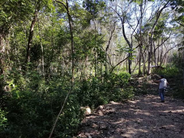 Terreno Carretera Tulum - Coba Km 10
