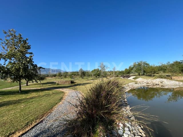 Terreno Residencial Colonia Bosque Real