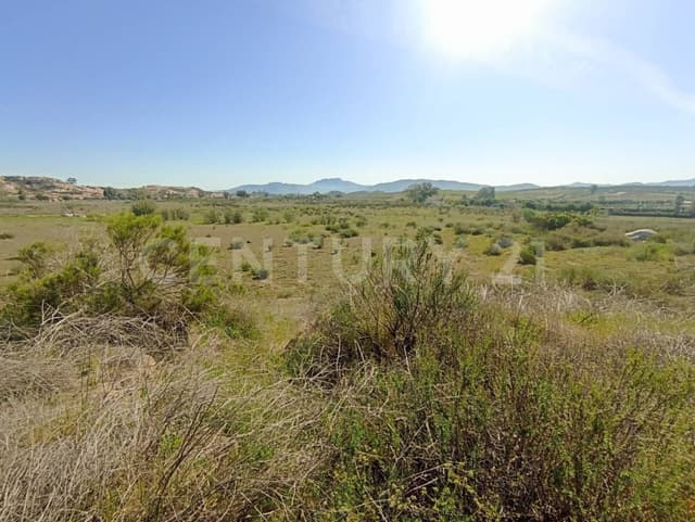 Terreno en venta en San Marcos Valle de Guadalupe, Ensenada, Baja California