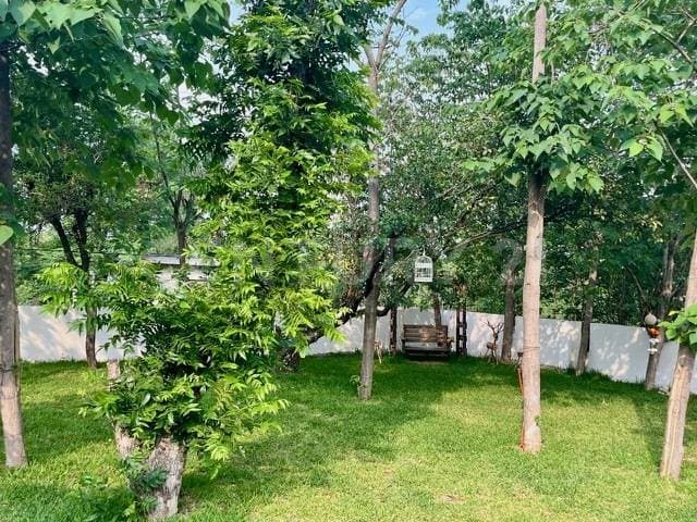 Fotos adicionales