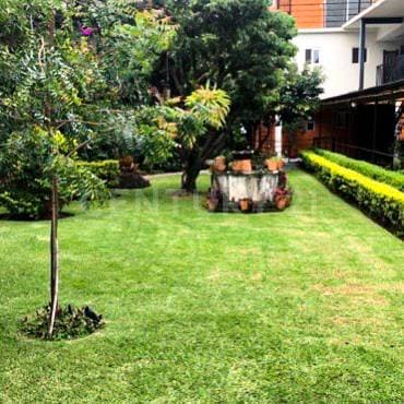 Fotos adicionales