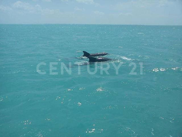 Siaan Kaan Reserva de la Biosfera Tulum