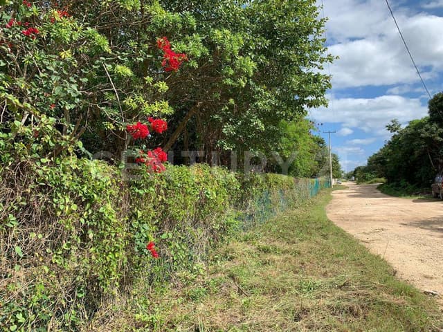 Terreno en Venta Cancún Q. Roo JP1121