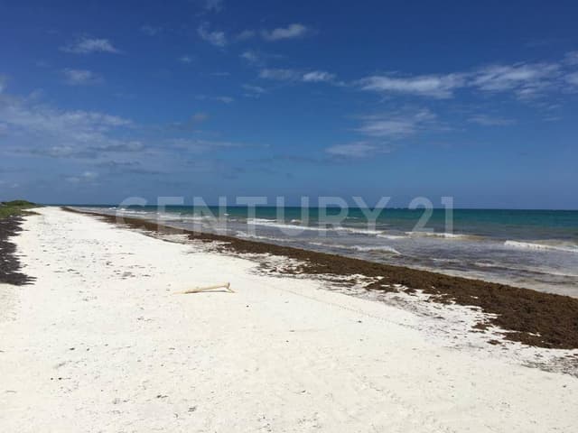 Terreno con Frente de Playa en Sian Kaan Tulum