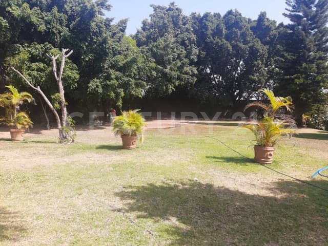 Terreno en zona dorada plano