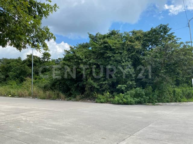 VENTA DE TERRENO COMERCIAL EN EL CENTRO DE PLAYA DEL CARMEN QUINTANA ROO