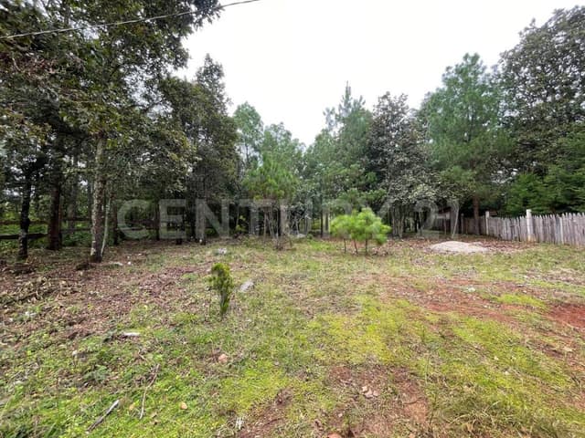 TERRENO EN VENTA, COMUNIDAD SAN JOSE BUENAVISTA, SAN CRISTOBAL DE LAS CASAS