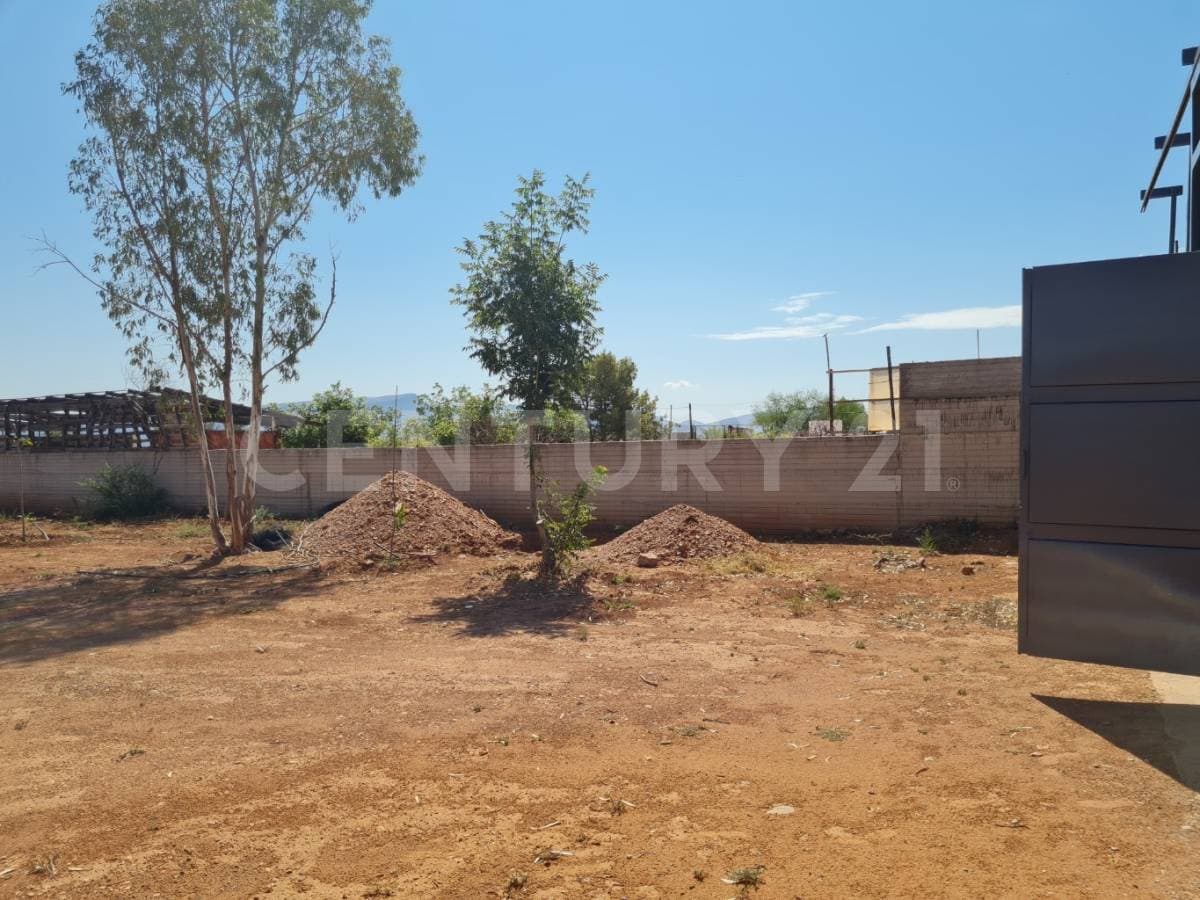 Fotos adicionales