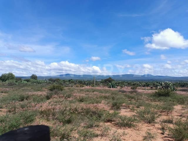 Terreno en Venta en Mamithi, Huichapan, Hidalgo.