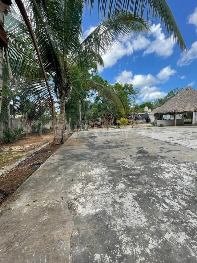 Terreno con Potencial Comercial y Residencial en Venta – Leona Vicario, Q.Roo.