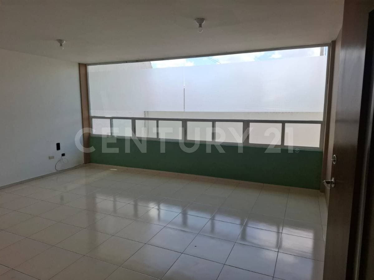Fotos adicionales