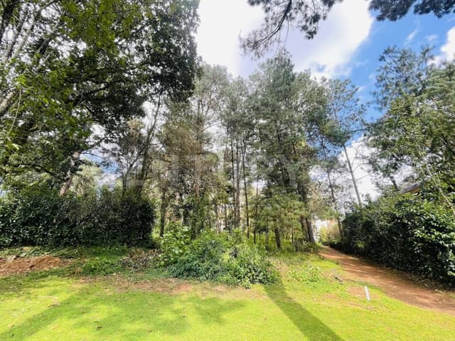 TERRENO JUNTO AL FAIRWAY EN RANCHO AVÁNDARO