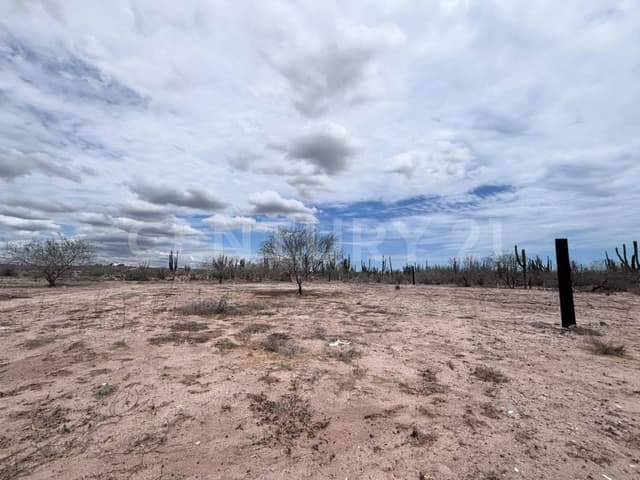 TERRENO EN VENTA, EN CENTENARIO