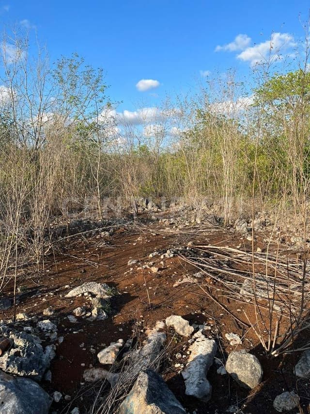 Terreno en Venta en Sitpach, Mérida, Yucatán