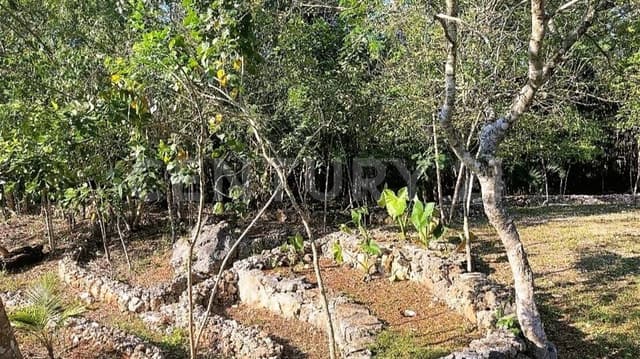 Terreno en venta en La Ruta de los Cenotes, Cancún
