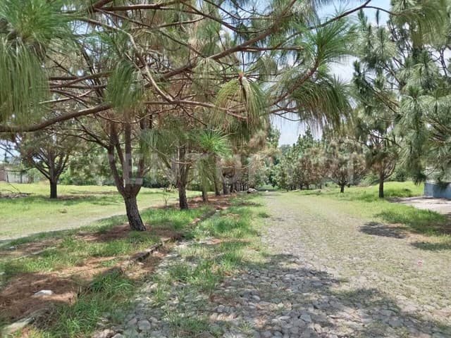 Terreno Habitacional o Comercial en venta en Fracc. San Rafael Cuauhtémoc, Col.