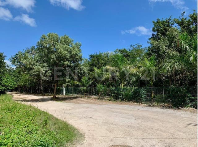 Terreno en Venta Av. Fonatur con Av. Prolongación La Luna EM0422