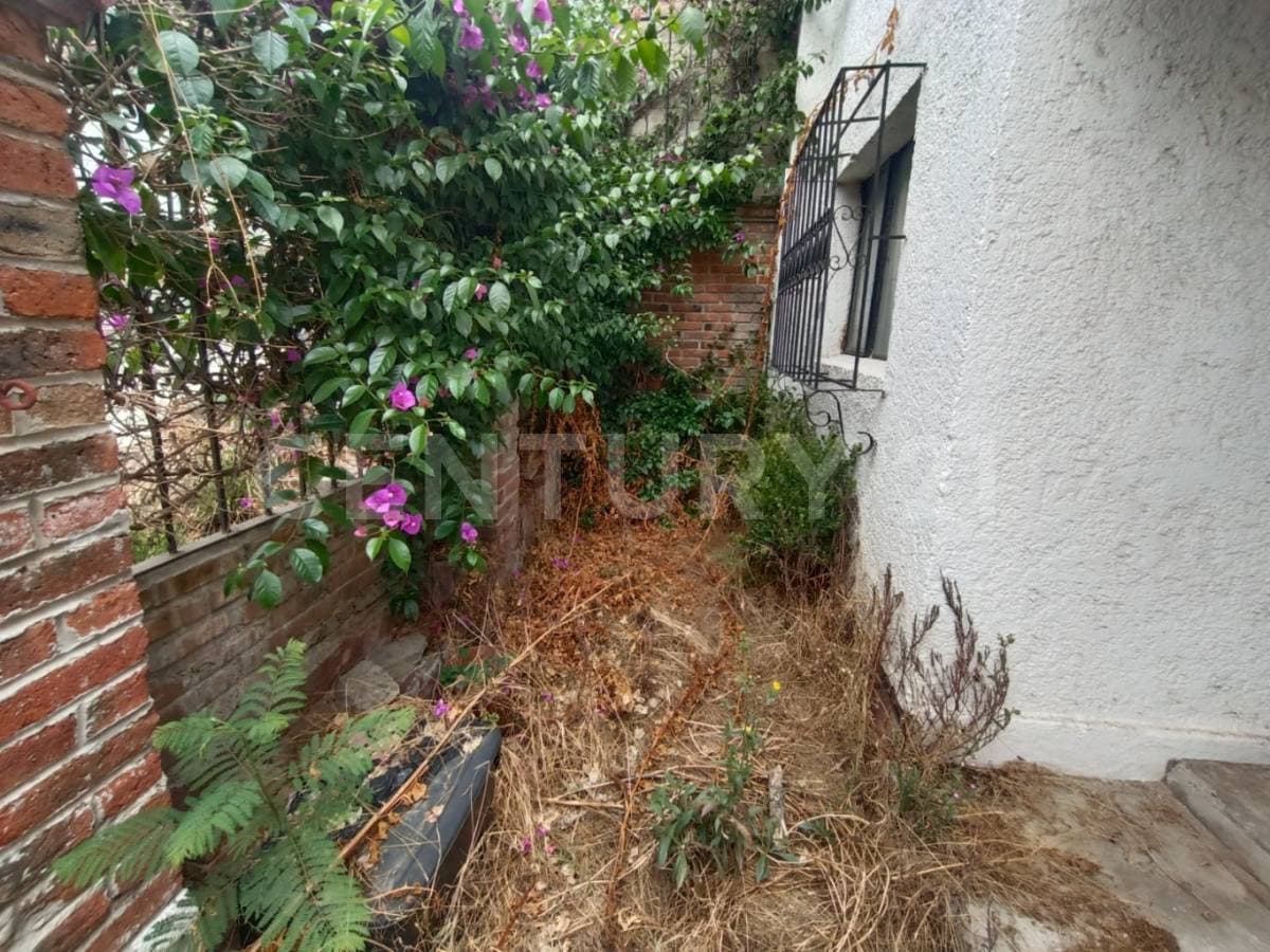 Fotos adicionales